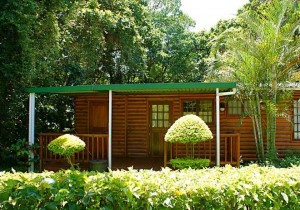 Dolphin Holiday Resort