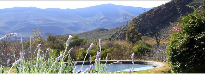 Weltevrede Guest Farm – Prince Albert, W. Cape