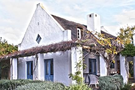Lavenders Blue | Stanford, Western Cape