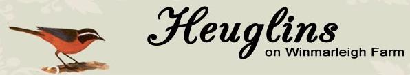 Heuglins - logo