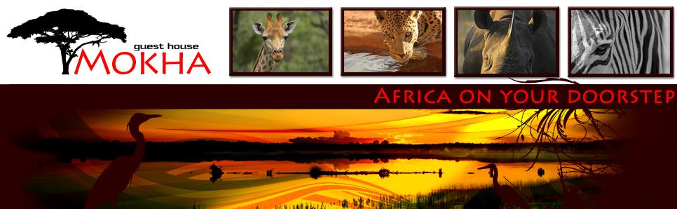 Mokha Guest House | Dinokeng Game Reserve, Gauteng