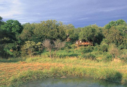Umlani Bush Camp | Timbavati Game Reserve, Mpumalanga