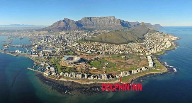 Dolphin Inn Guesthouse - view