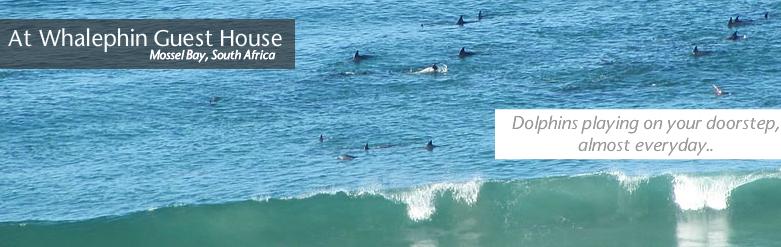 Whale-Phin Guest House – Mossel Bay