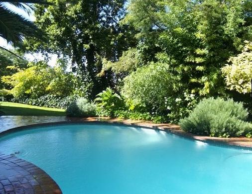 Olivewoods - pool