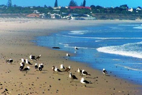 Lamberts Bay Beach - view