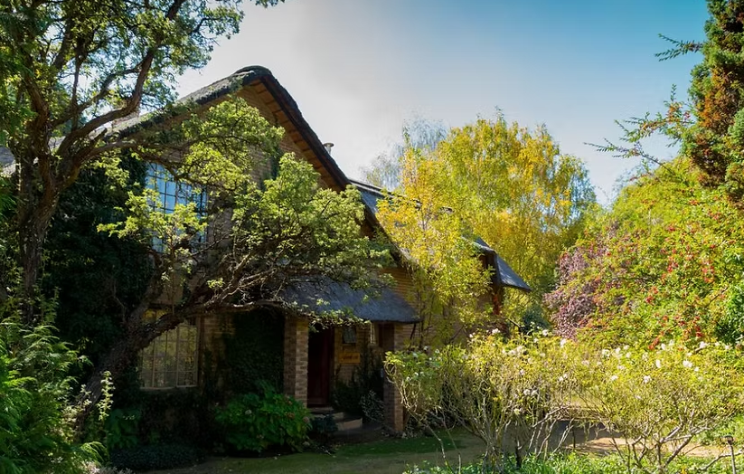 Cottage Pie | Clarens, Free State