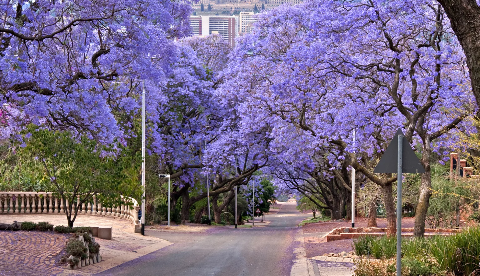 Gauteng accommodation