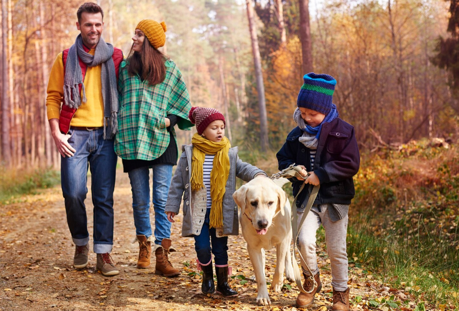Pet-friendly accommodation on the Garden Route