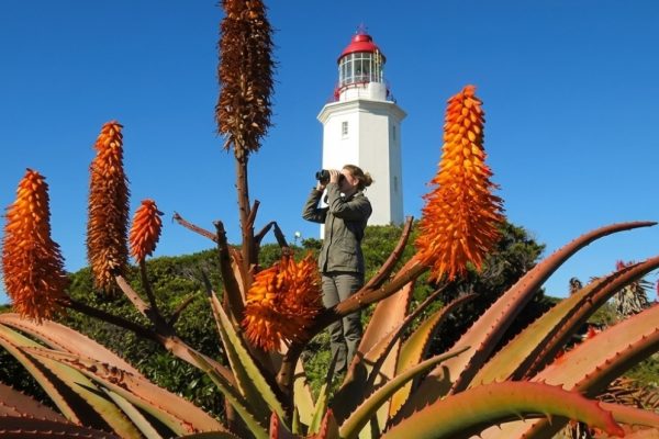 Danger Point Lighthouse, Gansbaai, Western Cape