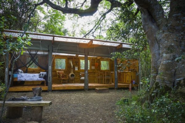 Platbos Forest Cabins – Gansbaai, Western Cape