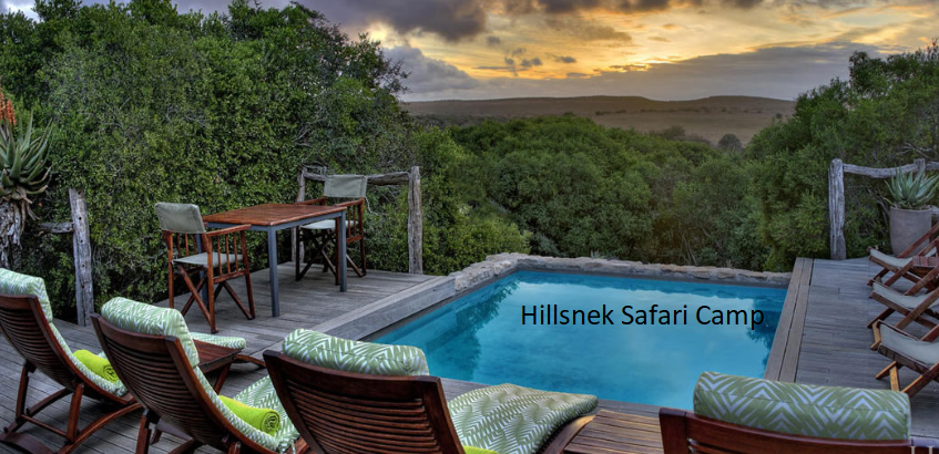 Hillsnek Safari Camp / Amakala Game Reserve, Eastern Cape