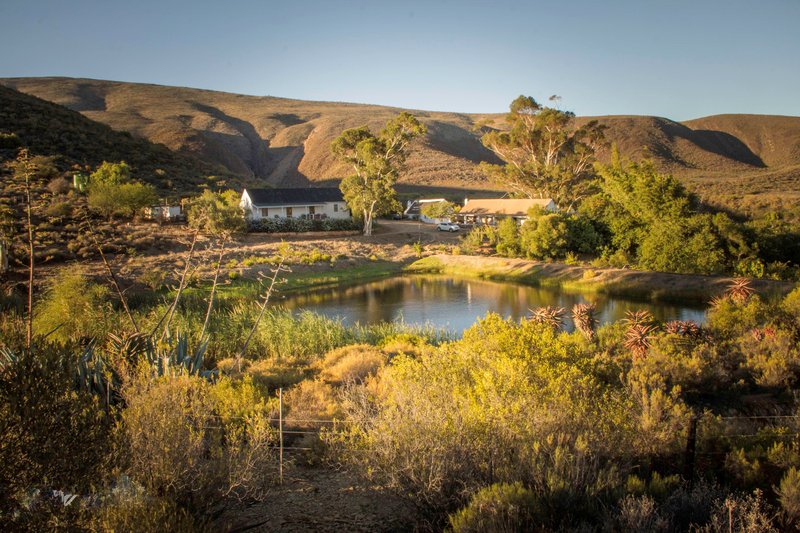 Watermill Farm Guest Cottages /  Van Wyksdorp, Klein Karoo. Western Cape