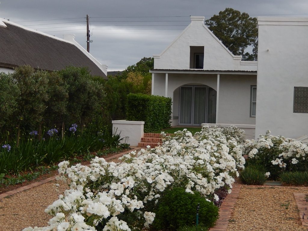 Maggie's Gift - McGregor, W. Cape