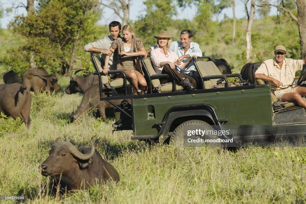 How to Pack for Game Reserve Holidays - South Africa
