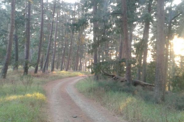 Anford Country House & Restaurant – Belfast, Mpumalanga