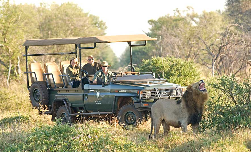 Molori Safari Lodge – Madikwe Game Reserve, North West Province