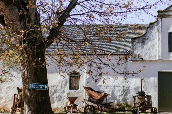 Annandale Wines -  Stellenboach, Western Cape