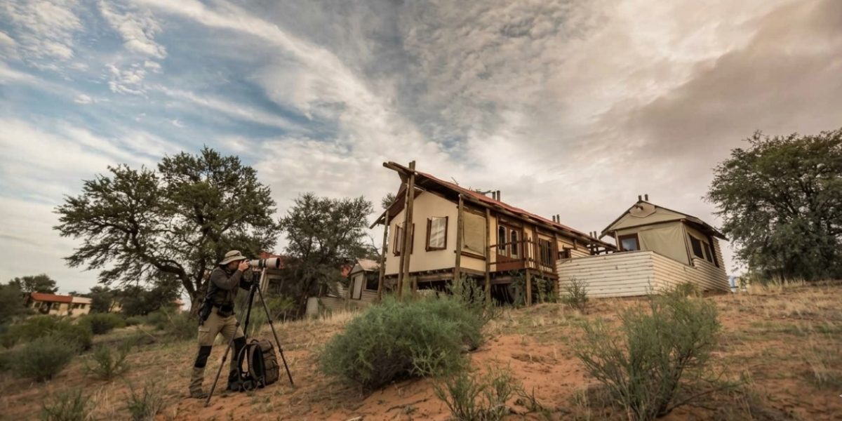 Kgalagadi Transfrontier Park – Northern Cape