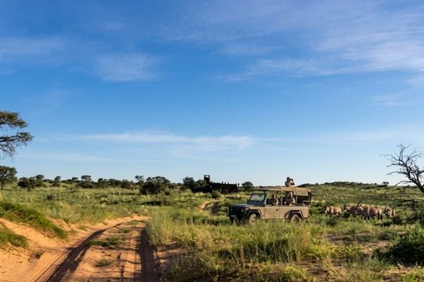 Bitterpan – Kgalagadi Transfrontier Park, Northern Cape
